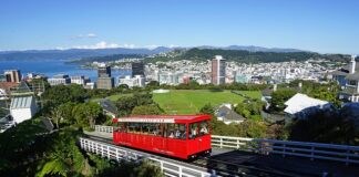 Indisputable facts about living in New Zealand Wellington
