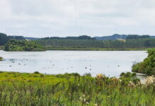 Lake Horowhenua