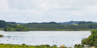Warnings over Lake Horowhenua water quality Lake Horowhenua