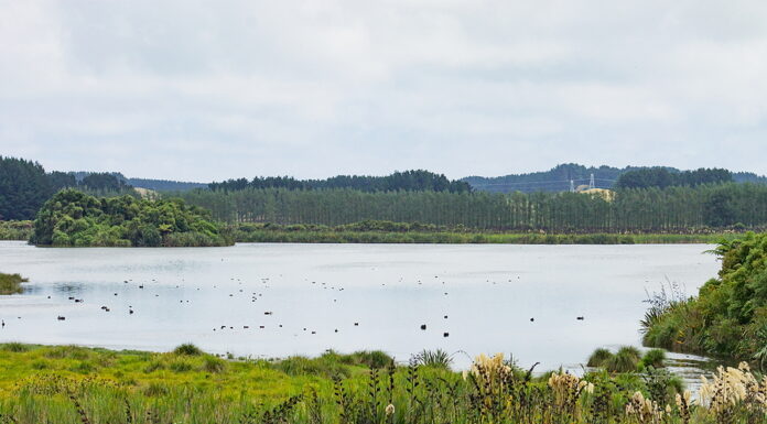 Warnings over Lake Horowhenua water quality Lake Horowhenua
