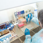 Scientists find genetic record of earthquakes in organism’s DNA Scientists find genetic record of earthquakes in organism’s DNA