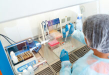 Scientists find genetic record of earthquakes in organism’s DNA Scientists find genetic record of earthquakes in organism’s DNA