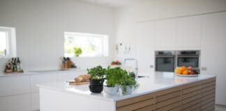 Innovative Gadgets for the Kitchen: From Smart Appliances to Cooking Tools Gadgets for the Kitchen